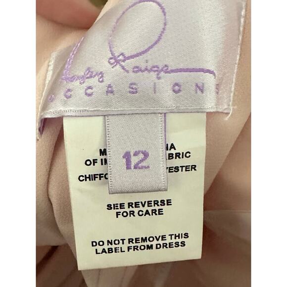 HAYLEY PAIGE OCCASIONS Formal Bridesmaid Dress Gown 5955 Blush - Sz 12 - NWT - Picture 8 of 10